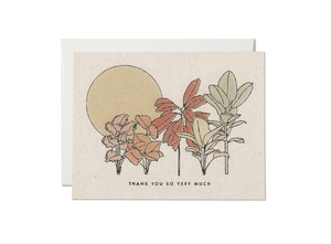 
            
                Load image into Gallery viewer, Desert Plants Card - Boxed Set
            
        
